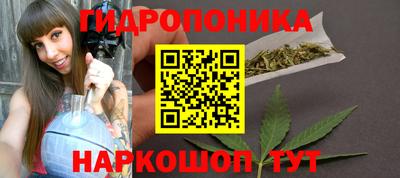 индика Чапаевск
