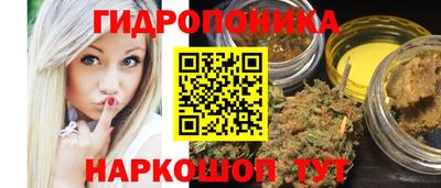 индика Чапаевск