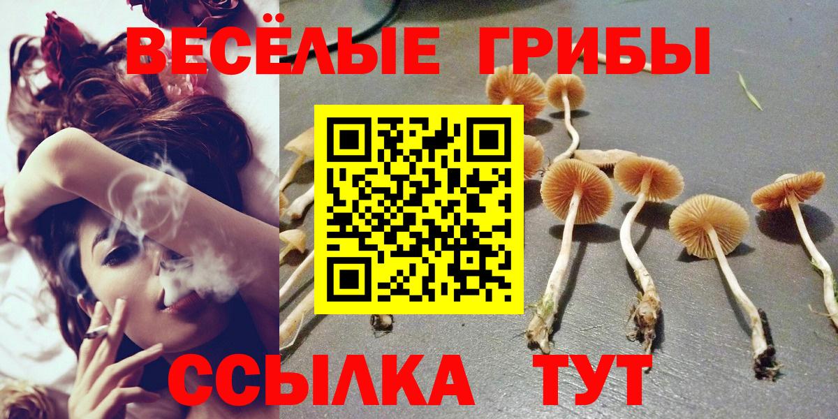 Псилоцибиновые грибы ЛСД Богородск